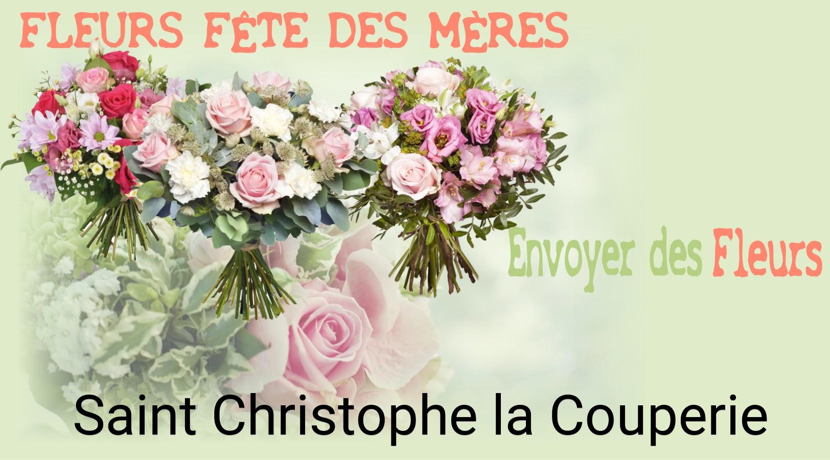 Bouquet de Fête des Mères livré à Saint-Christophe-la-Couperie